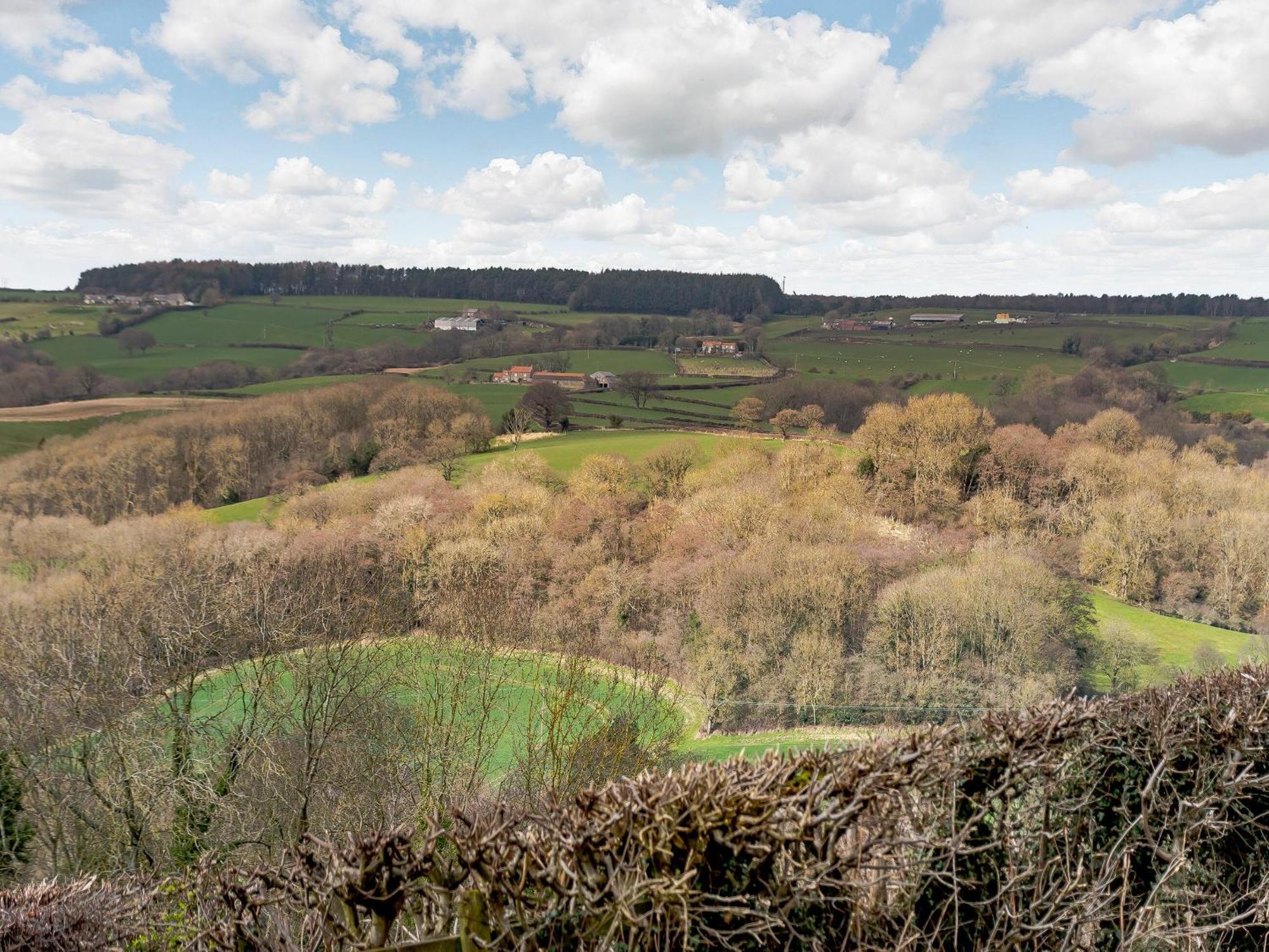 Esk Dale View Villa Гросмънт Екстериор снимка
